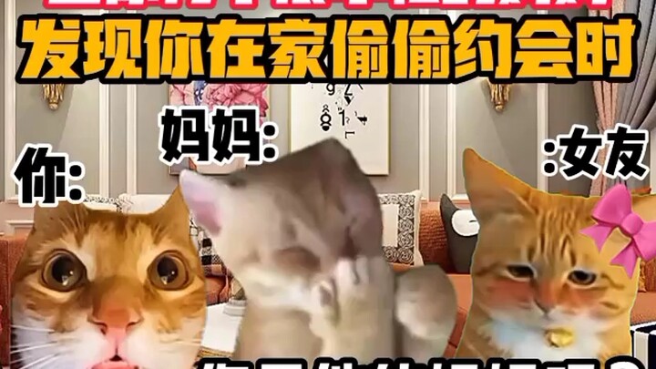 《猫meme小剧场》当你有个很年轻的妈妈发现你在家偷偷约会时！