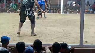 3time winner