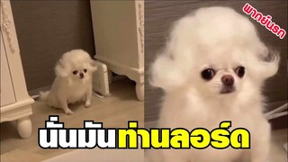 นั่นมัน ท่านลอร์ด เอาที่สบายใจเลยนุ๊ด !! [ พากย์นรก ]​