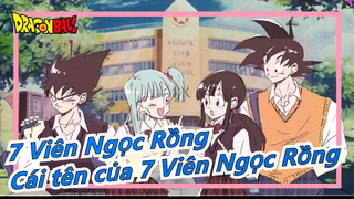 [7 Viên Ngọc Rồng] "Cái tên của 7 Viên Ngọc Rồng có thể được nghe trong thời chúng ta"