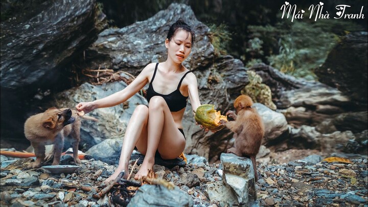 Release the monkey to the wild nature forest I Mái Nhà Tranh