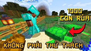 Dự Án 1000 Con Rùa Trong Minecraft Không Phải Thử Thách Channy