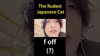 The Rudest Cat in Japan