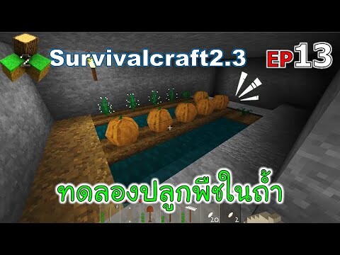 ทดลองปลูกพืชในถ้ำ Survivalcraft 2.3 ep.13 [พี่อู๊ด JUB TV]