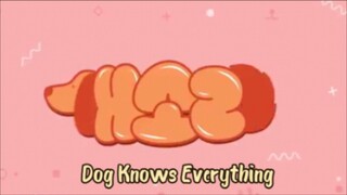 Dog Knows Everything eps 3