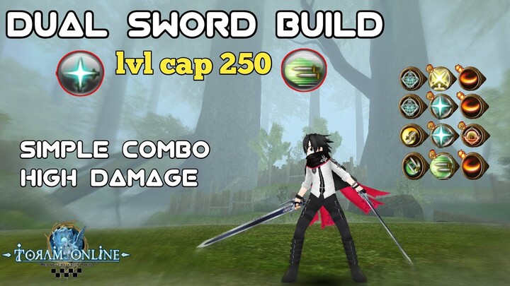 Dual Sword (T5) Build lvl cap 250 - Toram Online