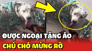 Bé chó MỪNG RỠ vì về quê được Ngoại MAY TẶNG 4 bộ đồ xịn xò 😂 | Yêu Lu