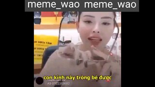 Hư đường nào