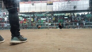 2wins@SEGUNDO COCKPIT ARENA entry:CAMBANAY WW 🏆