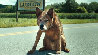 PET SEMATARY BLOODLINES Trailer (2023)