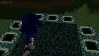 sonic in movie in Minecraft 10