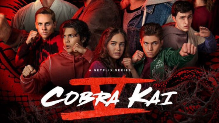 Cobra Kai Season 4 Episode 2 In Hindi Dub