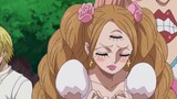 The pirate girls are very attractive. If you like Nami, you will always like her. If you like Robin,