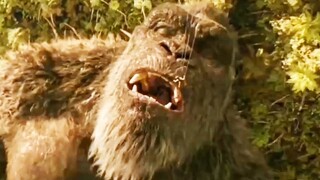 GODZILLA X KONG THE NEW EMPIRE ''Shimo Knocks Out Kong'' Official Trailer (2024)