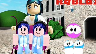 พี่นิวมีฝาแฝด! Roblox Meepcity Twins