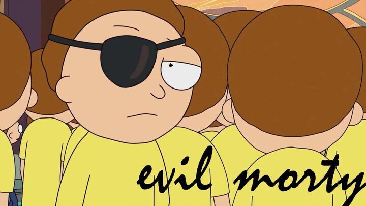 [Rick and Morty] I Am The Evil Morty, Also The Ricky Morty (Edit)