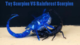 [Insect] Toy Scorpion VS Confused Rainforest Scorpion
