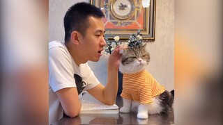 Mặt trông yang hồ thế nhờ | MYPET