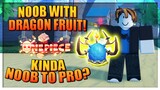 Noob with Dragon Fruit is it Overpowered? A One Piece Game