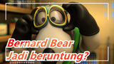 Bernard Bear|Bisakah dia jadi beruntung?