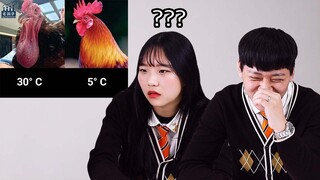 Men's Secret vs Women's Secret l Korean Teenage Couple Reaction