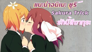 แนะนำอนิเมะ Sakura Trick รักนี้สีซากุระ