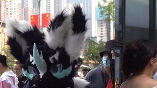 [FURRY] Mencetak dua kali~, 2022.10.2 Chengdu Longhu Binjiang Paradise Street ISPmini day2 hairy mix