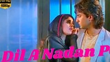 Dil Nadan Pe Is Beimaan Pe | दिल नादान पे इस बेईमान पे | HD Video Song | Aashiq Awara | Seflikh Khan
