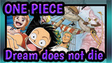 ONE PIECE|Classic music /BGM collection——Dream does not die!_D