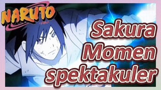 Sakura Momen spektakuler