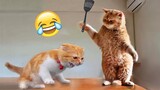 Funniest Animals ðŸ˜„ New Funny Cats and Dogs Videos ðŸ˜¹ðŸ�¶
