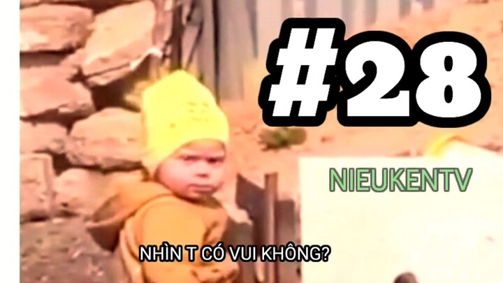 TỔNG HỢP MEMES PART 28 | NHỮNG CLIP VUI NHỘN