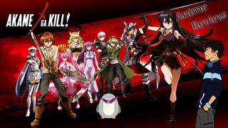 Akame Ga Kill - Anime Review