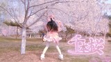 千本桜【踊ってみた】