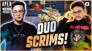 INI CARA GW MAIN DUO SQUAD DI SCRIM - APEX LEGENDS MOBILE