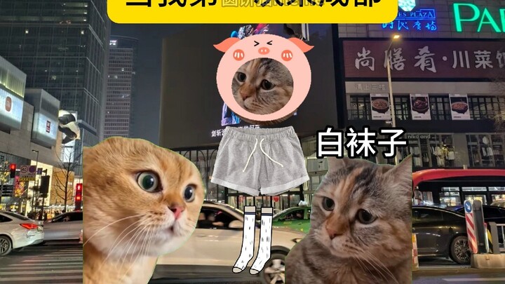 当我第一次来成都。