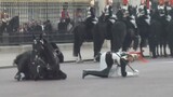 10 Reasons you NEVER Mess with Queens Guards (Queens Guards Get Owned)