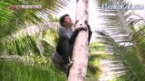 Law of the Jungle Episode 248 Eng Sub #cttro