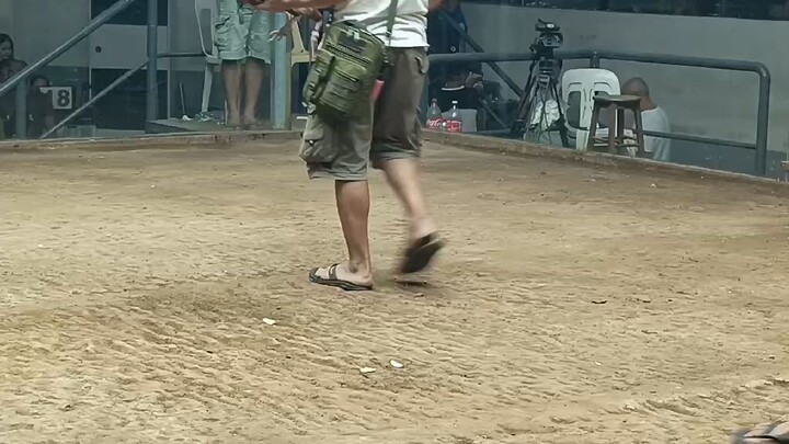fiesta ng tondo.naka chamba ren..