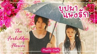 เพลง "my you" 我的你 - 糖妹 (บุปผาแห่งรัก | The forbidden flower  | 夏花 )