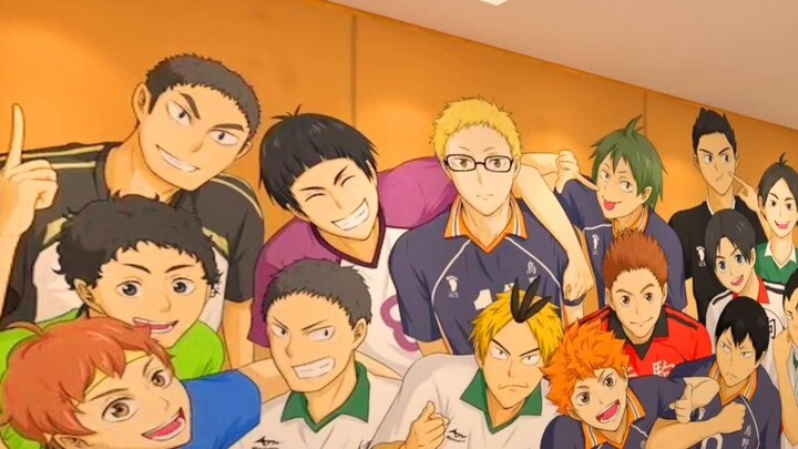 A small bedroom for volleyball players exclusively for volleyball players. Is this not enough for yo