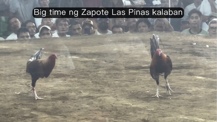 1st Fight Lose || 2hits Zapote || kalaban big time bawi mga sir. Qatar Entry name.