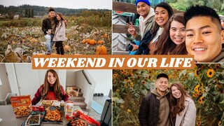 PUMPKIN PATCH, KOREAN FOOD & TRADER JOE'S HAUL