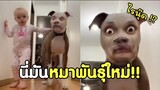 หมาพันธุ์ไหน ทำไมมันทำหน้าอย่างงั้นนน !! #รวมคลิปฮาพากย์ไทย