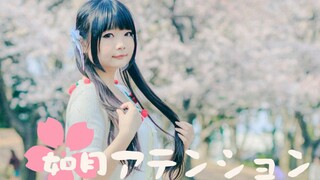 [Dance]Dance at Fuji City Park under Sakura|BGM: 如月アテンション