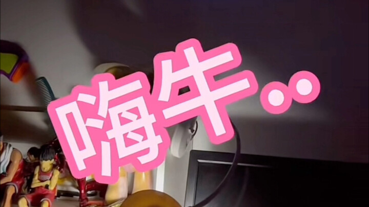 又一个本地捞，粤语传承任重而道远啊！