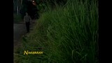 Adarna-Full Episode 45