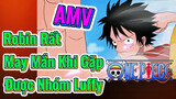 [Đảo Hải Tặc] AMV | Robin Rất May Mắn Khi Gặp Được Nhóm Luffy