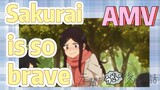 [My Sanpei is Annoying]  AMV |  Sakurai is so brave