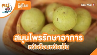 สมุนไพรรักษาอาการหวัดร้อนหวัดเย็น | รู้สู้โรค  | คนสู้โรค